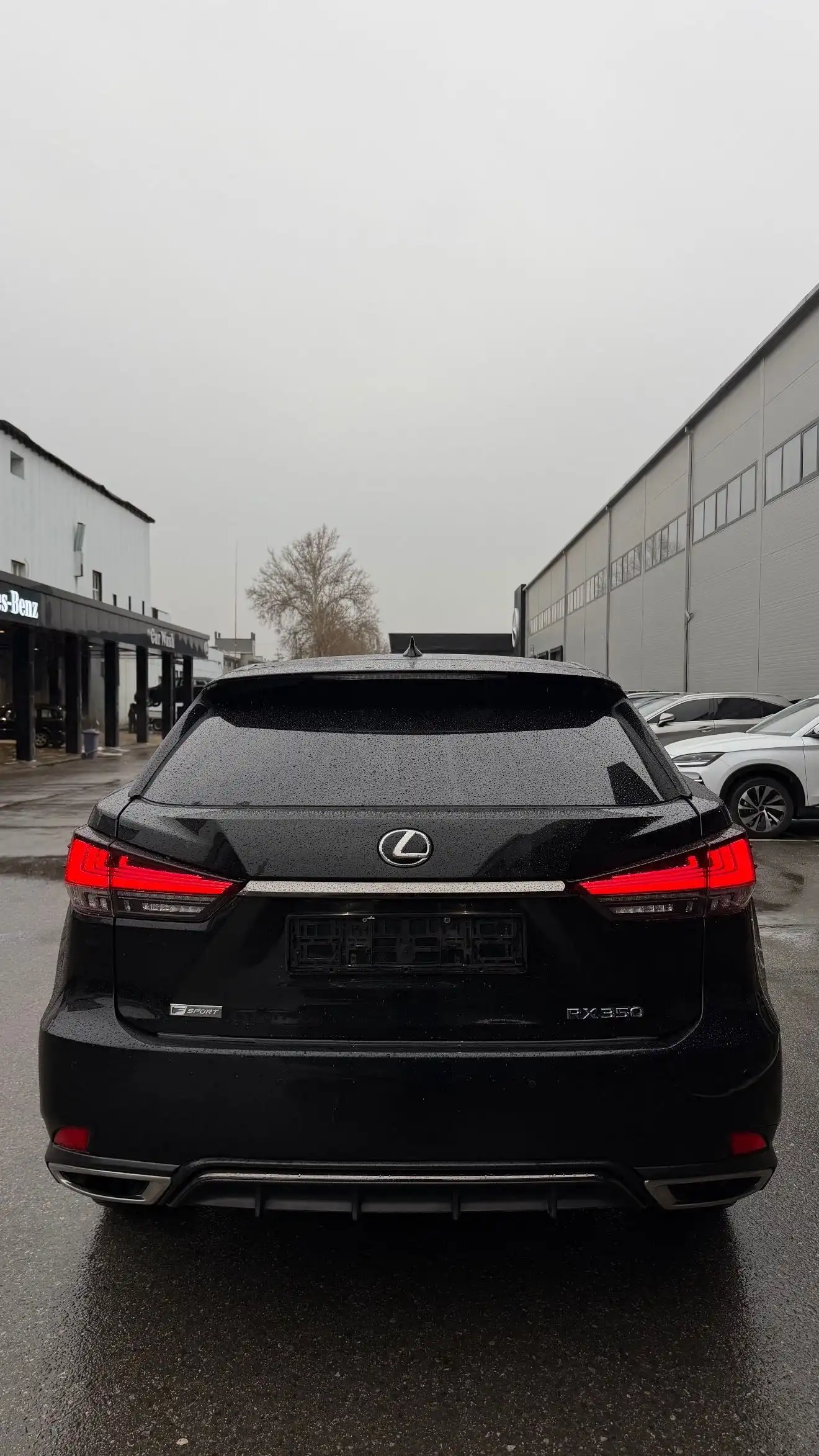 Lexus Rx series 2020