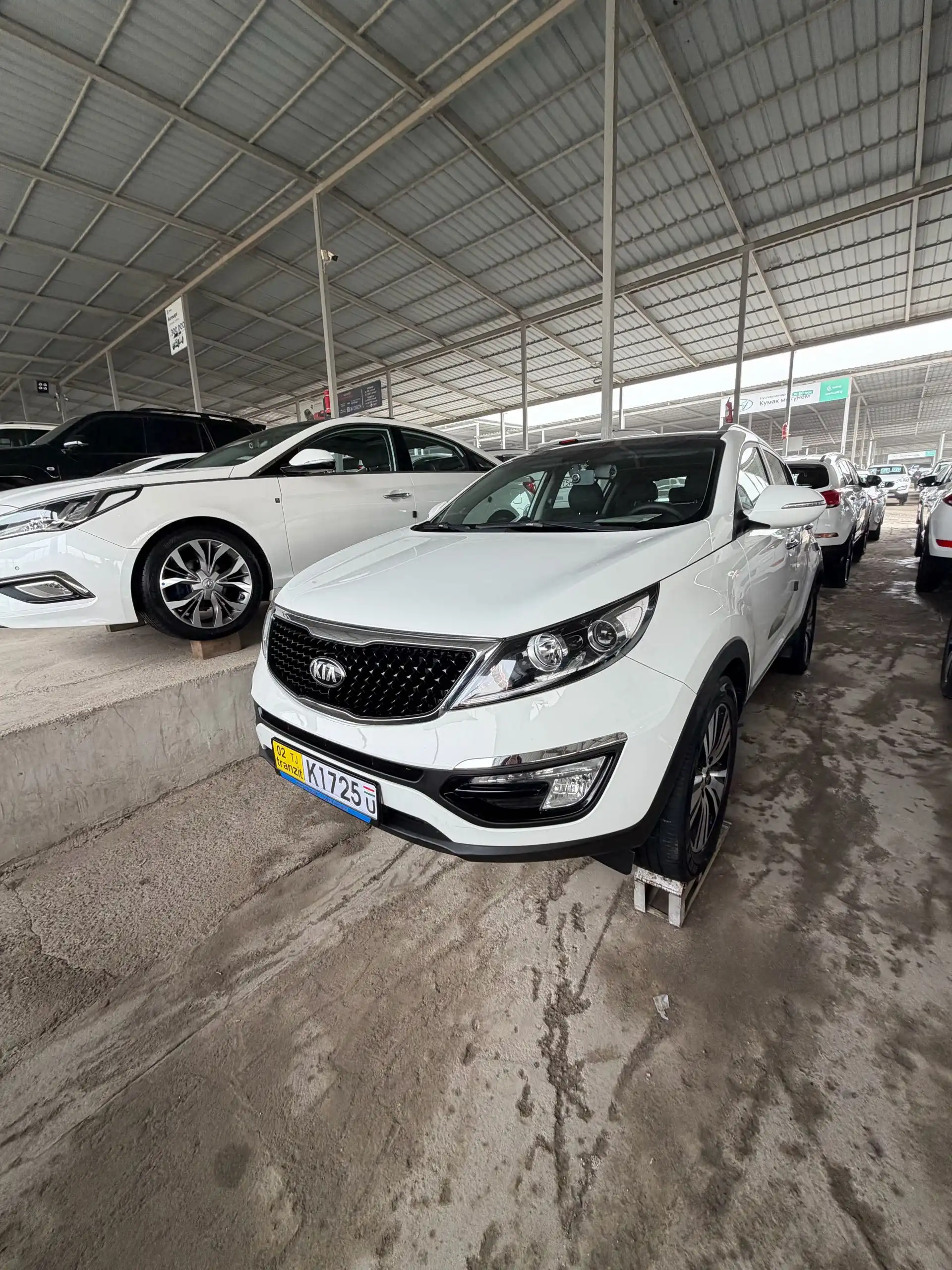 Kia Sportage 2014 — фото 2