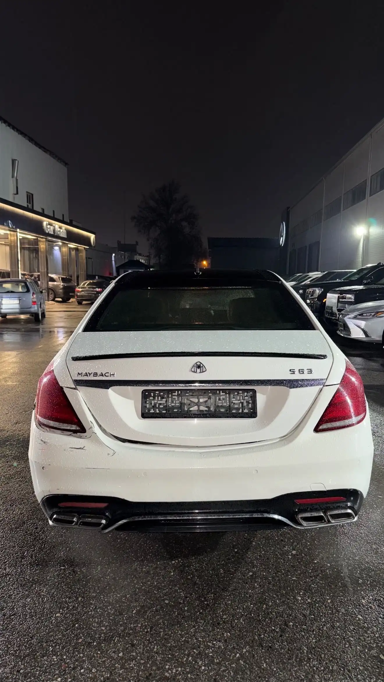 Mercedes-benz S class 2007