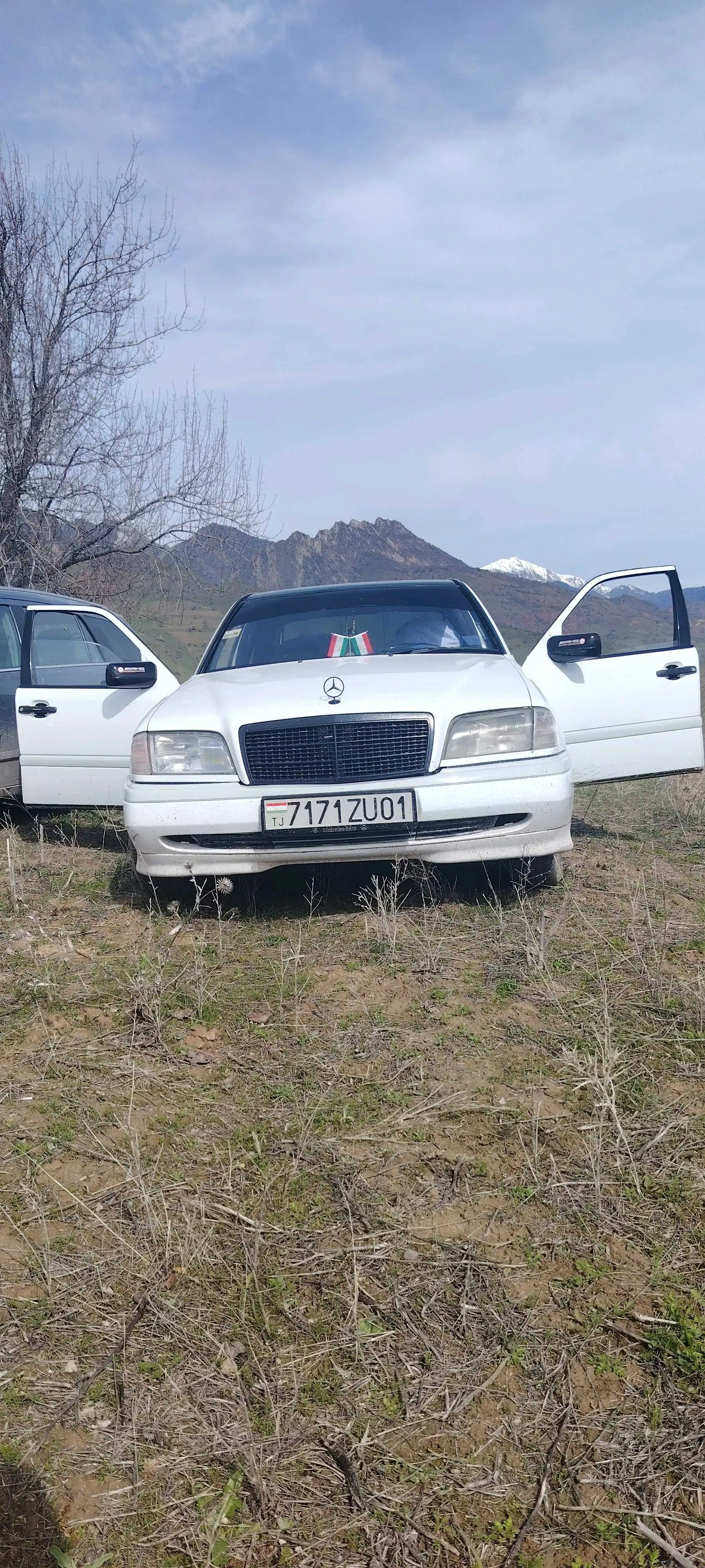 Mercedes-benz C class 1994