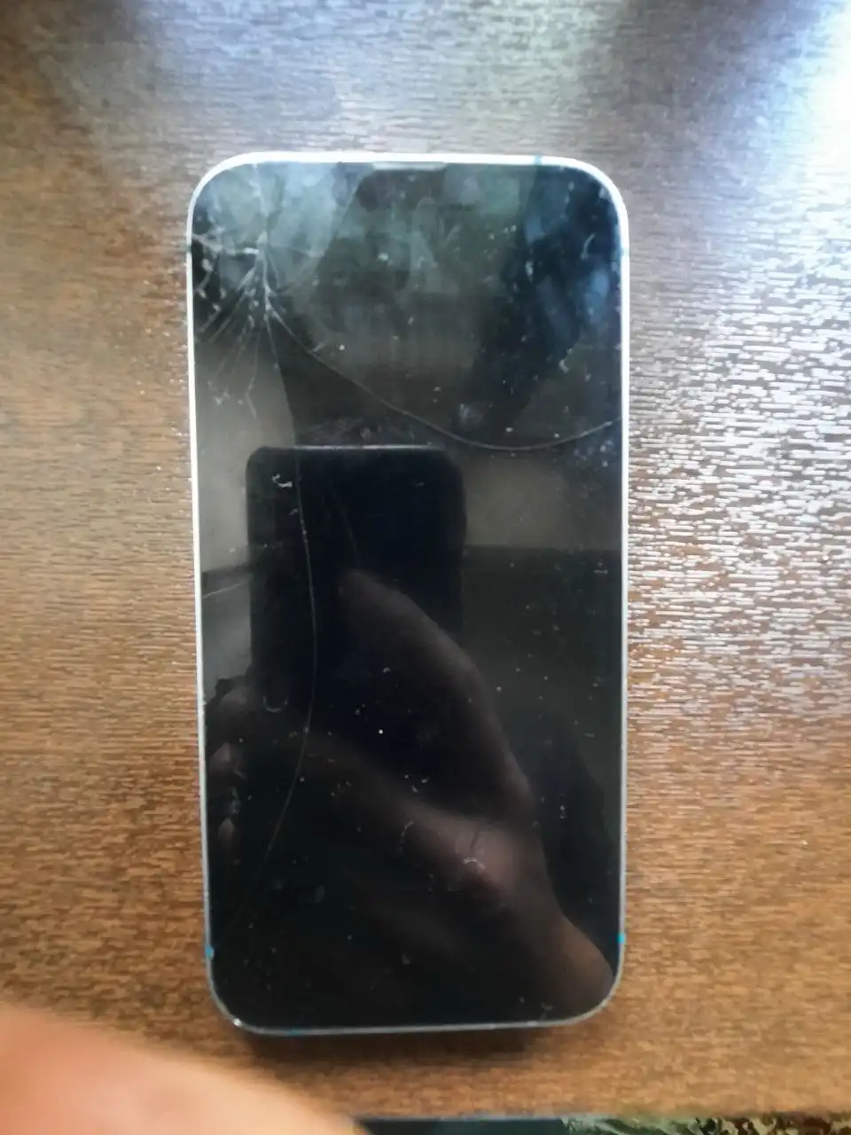 Apple iPhone 13 256 gb
