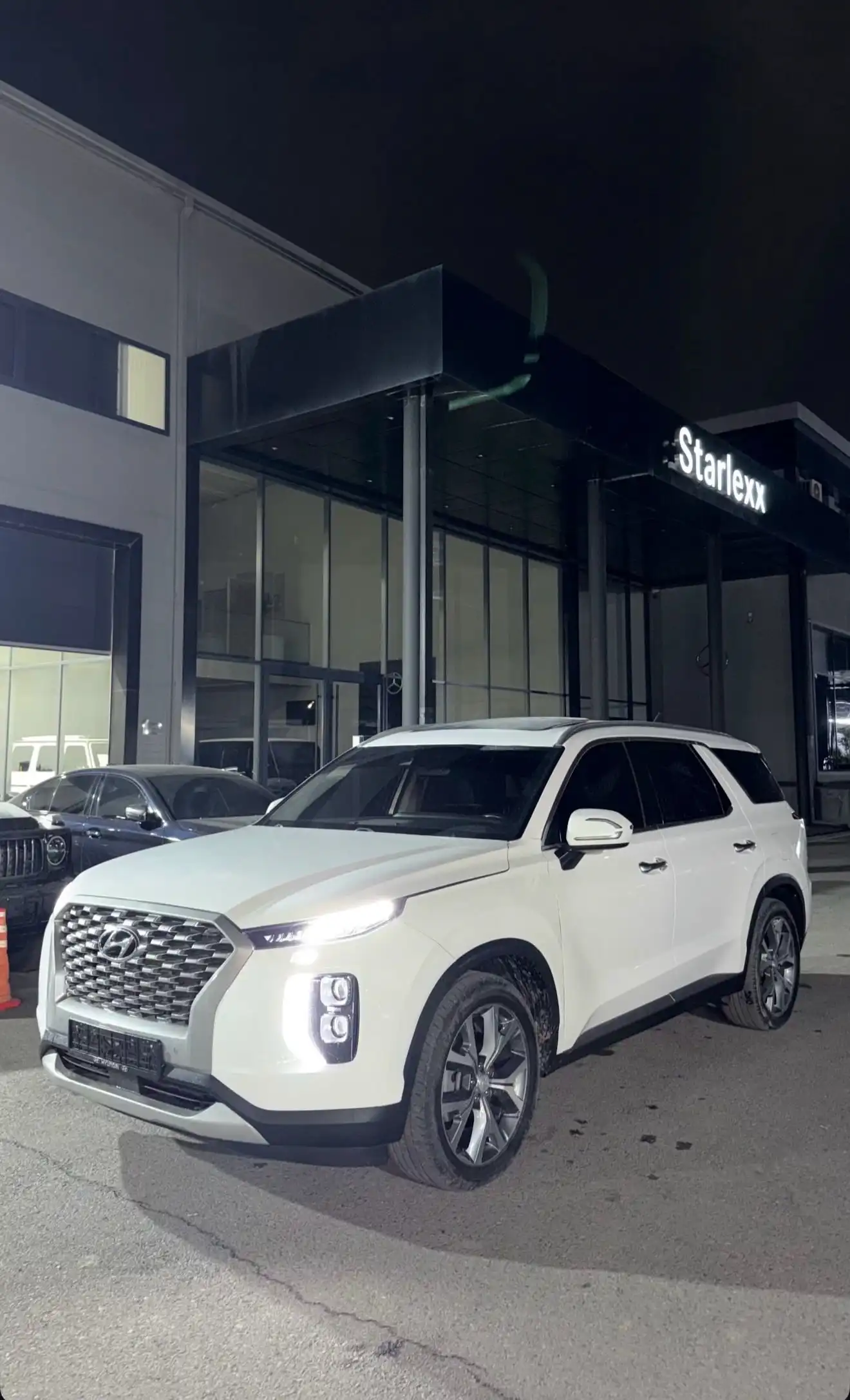 Hyundai Palisade 2021