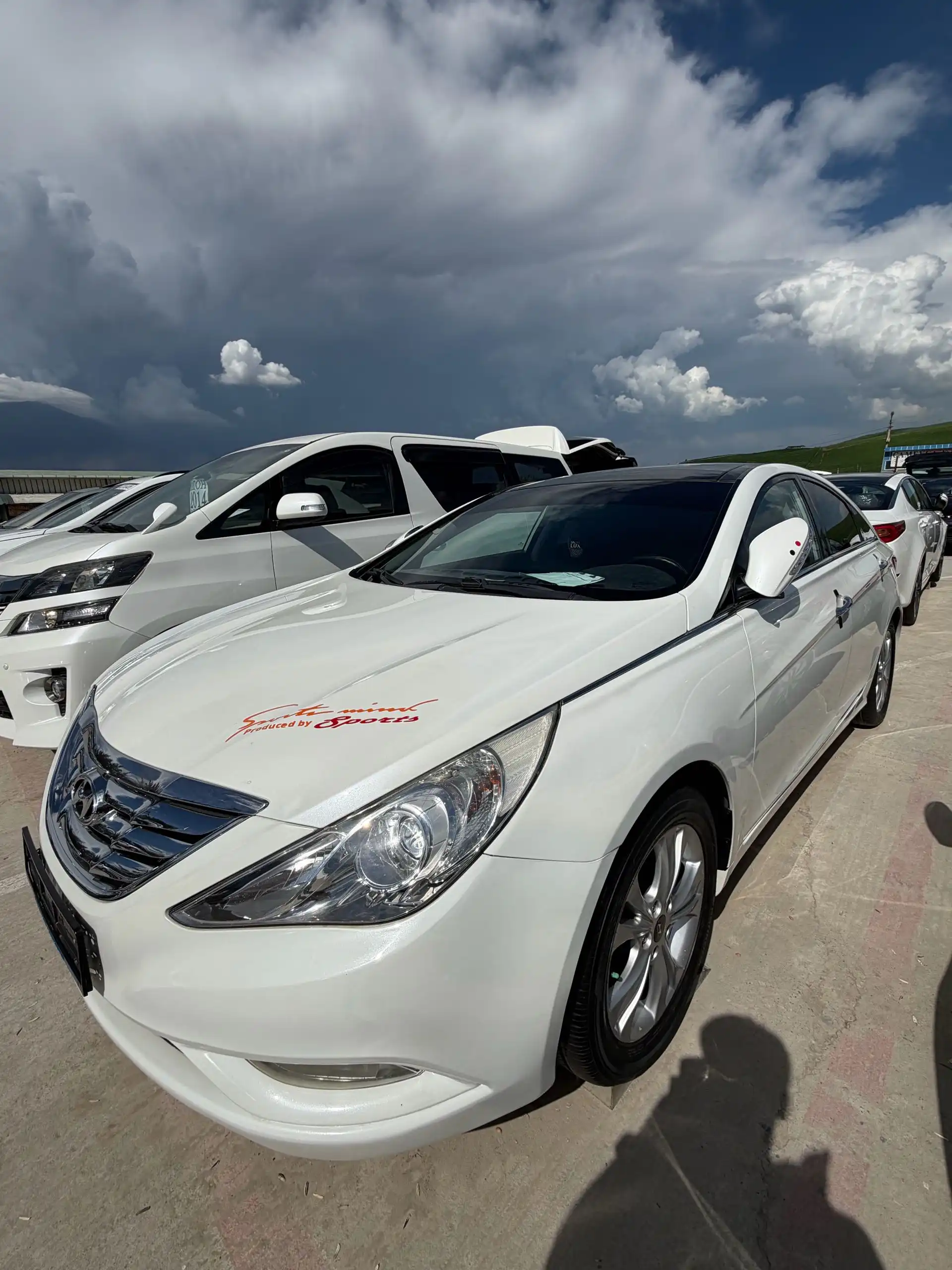 Hyundai Sonata 2010