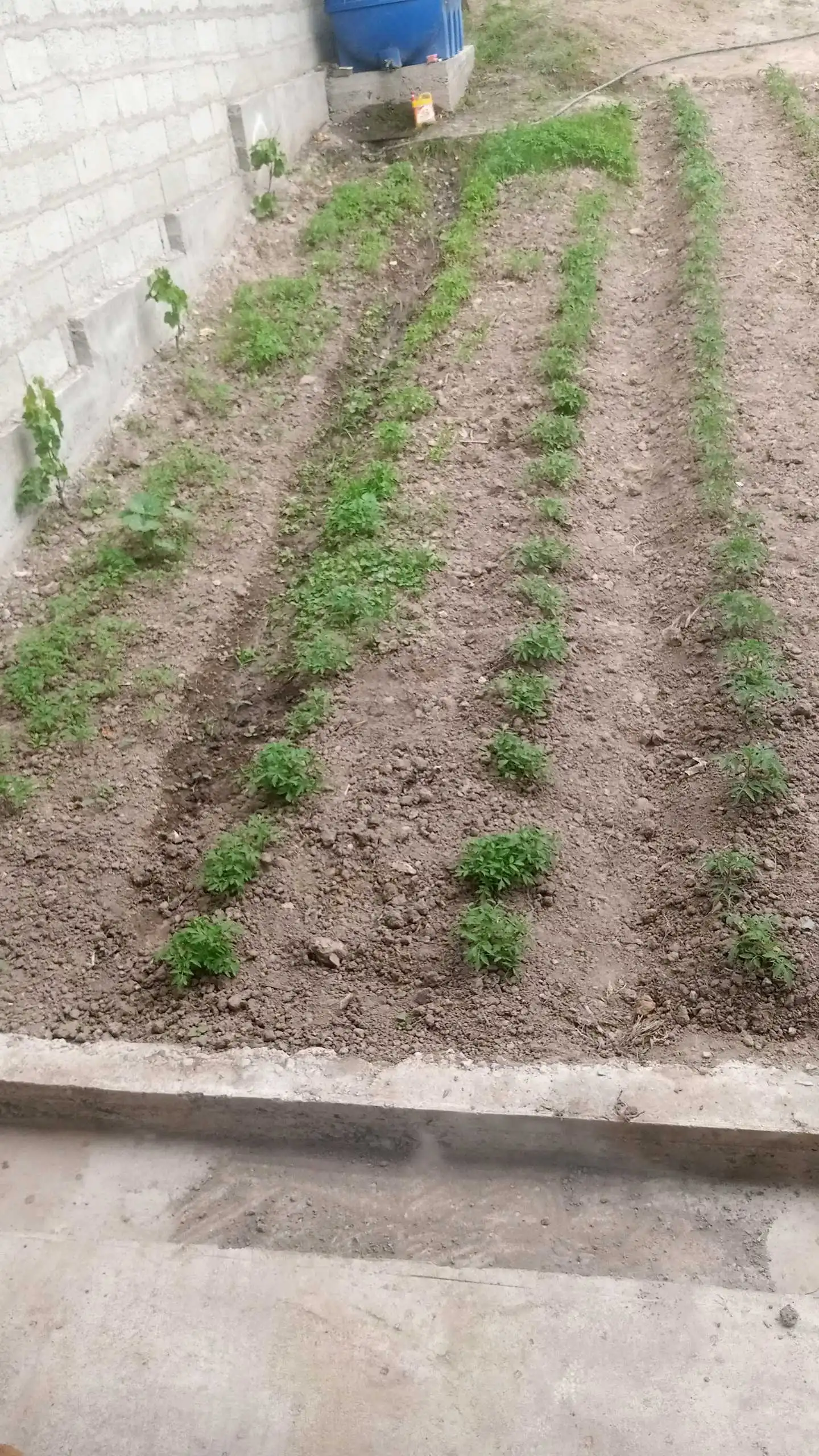 1 этажный, 2-комн. дом, 90 м², 4 соток, ленский