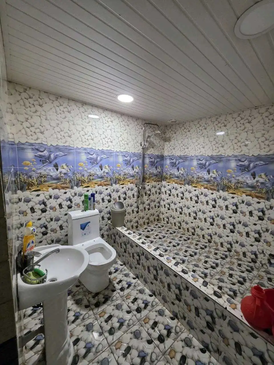 3-к квартира, Цокольный этаж, 140 м², Сино