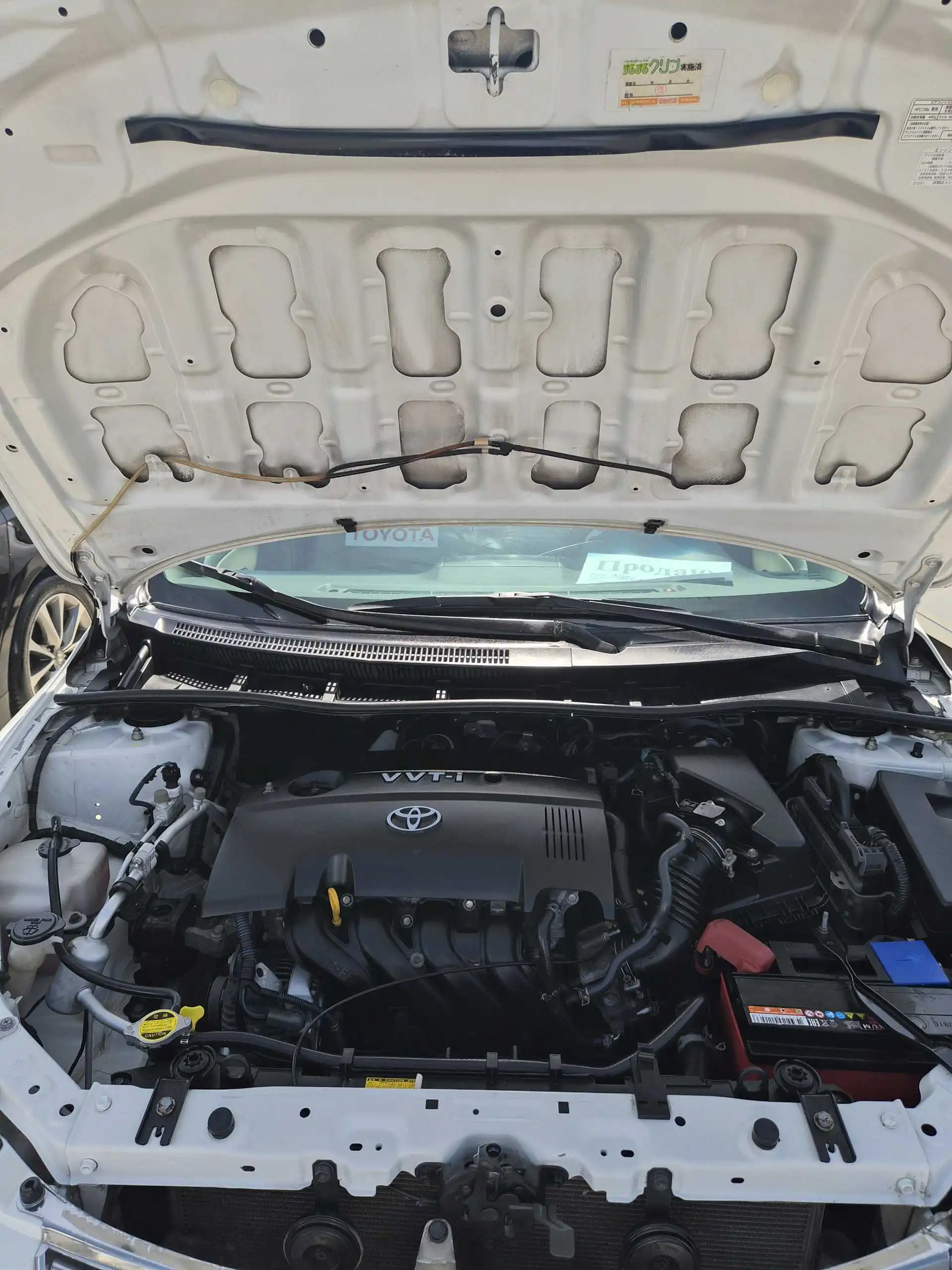 Toyota Axio 2008