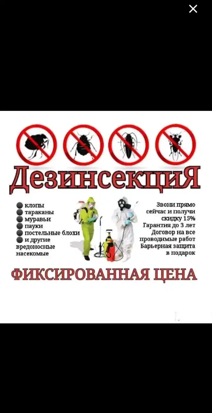 дезинфексия