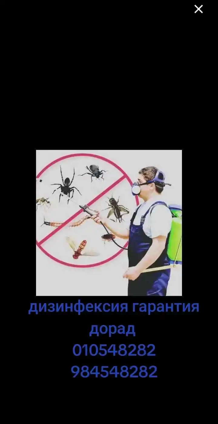 дезинфексия