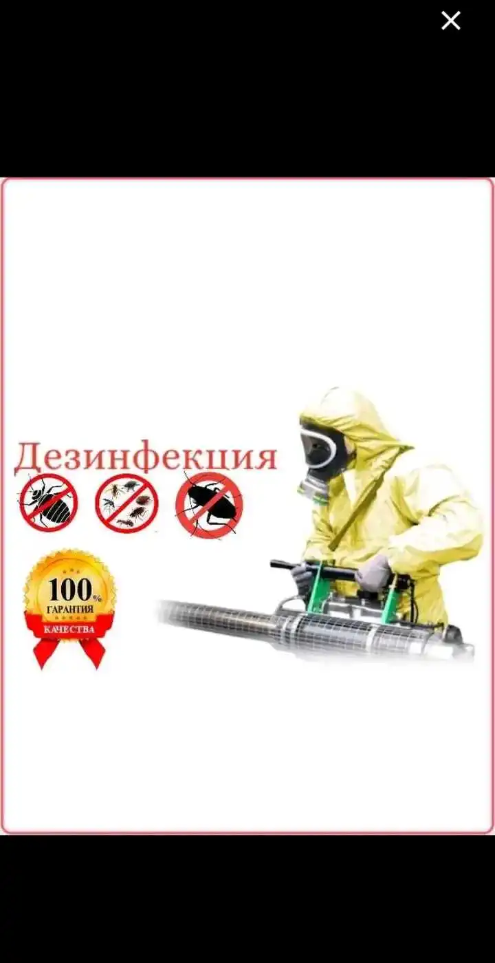 дезинфексия