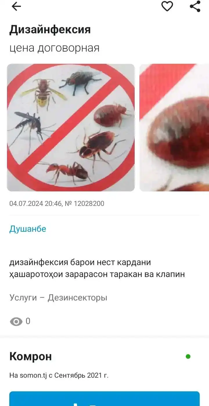 дезинфексия