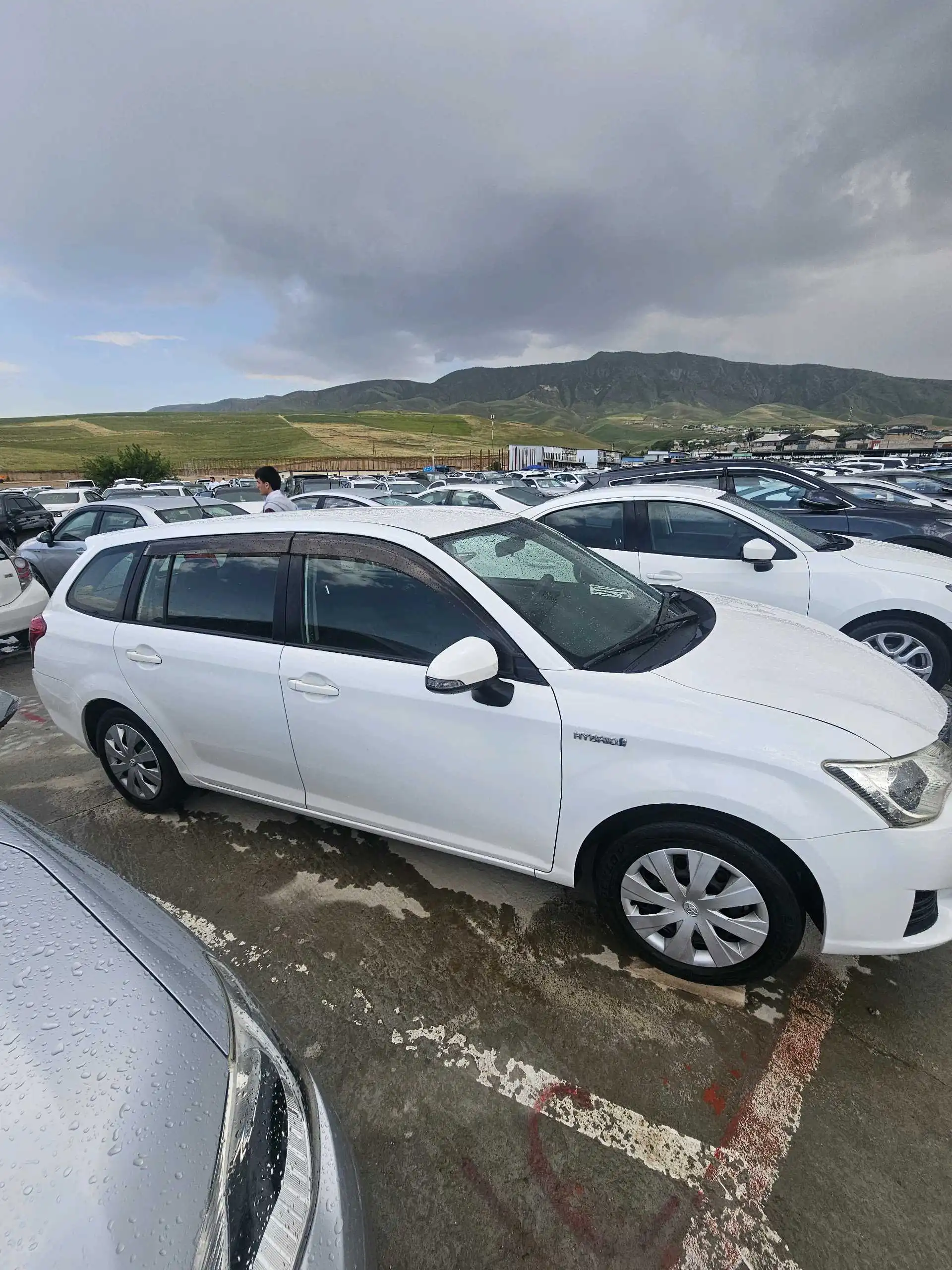 Toyota Fielder 2014
