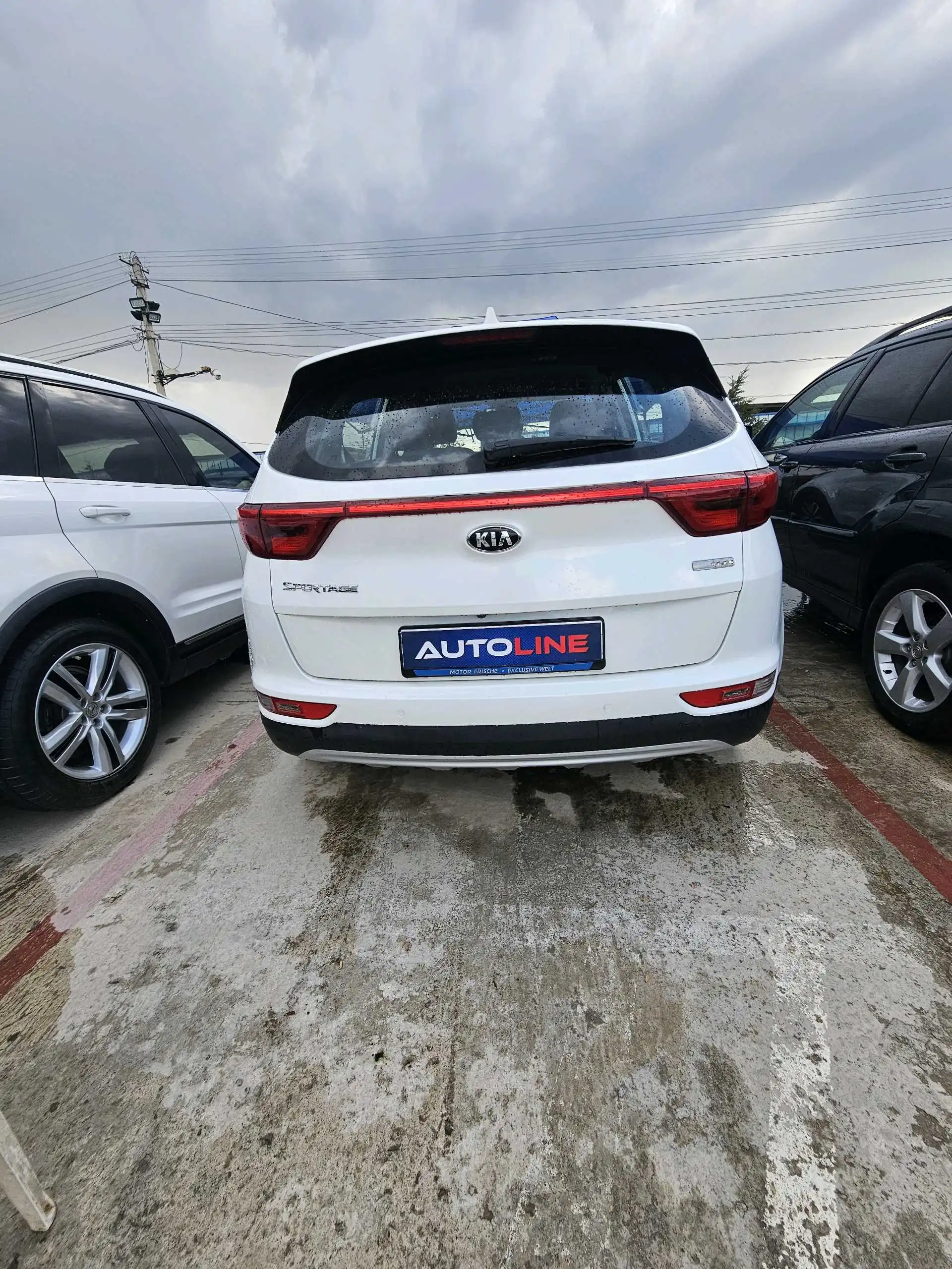 Kia Sportage 2015 — фото 2