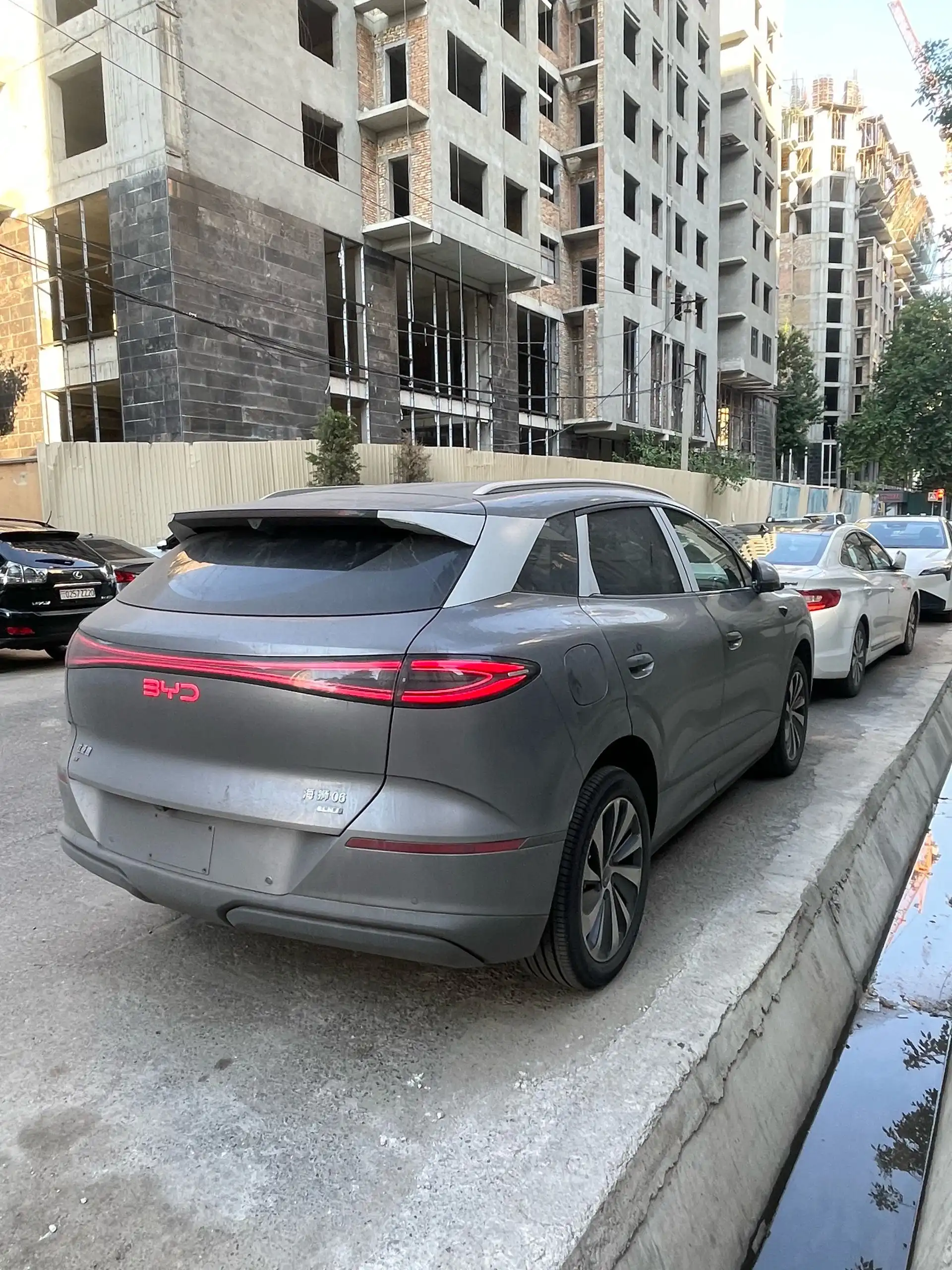 BYD Sea Lion 06 2026