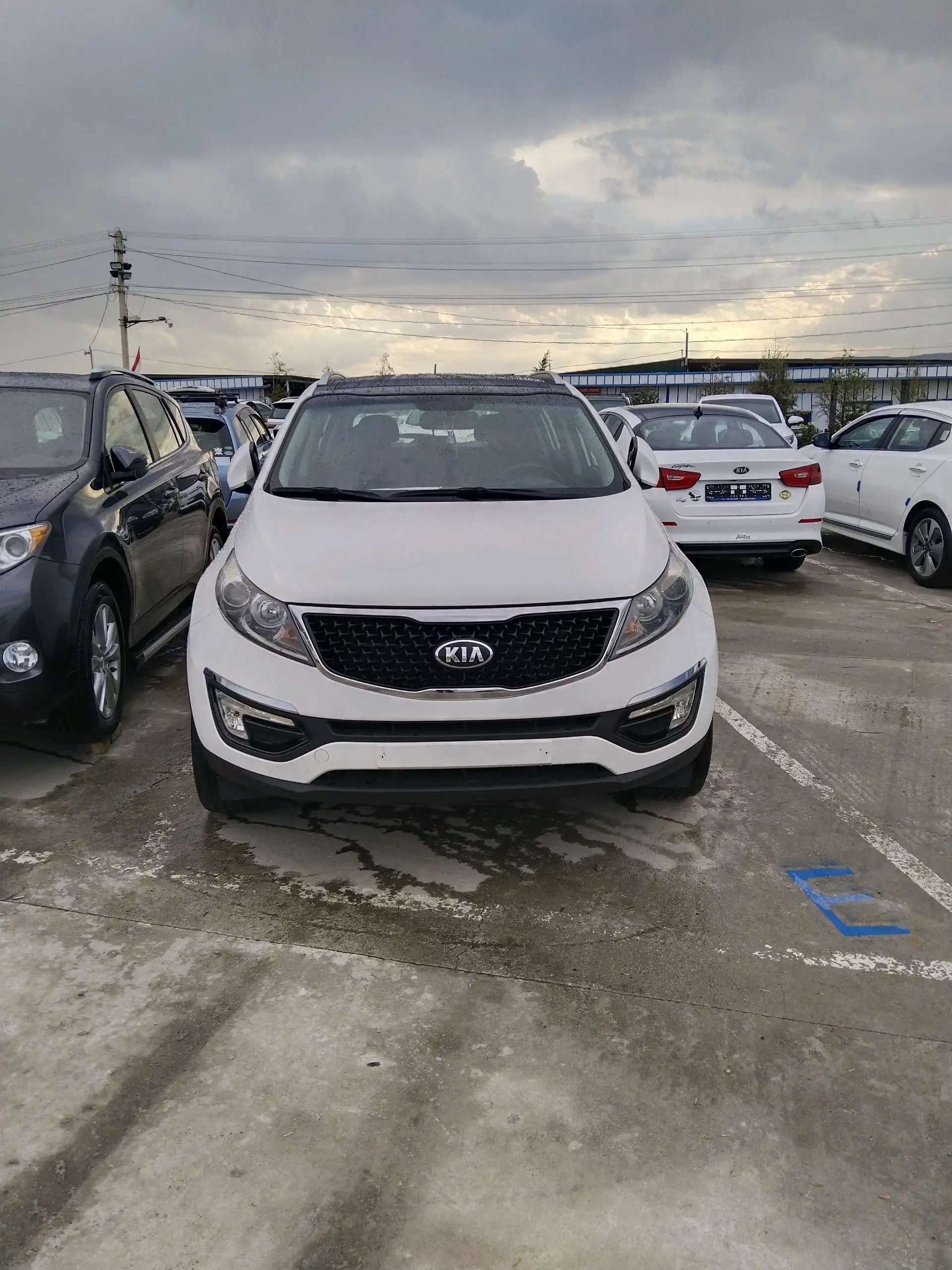 Kia Sportage 2014