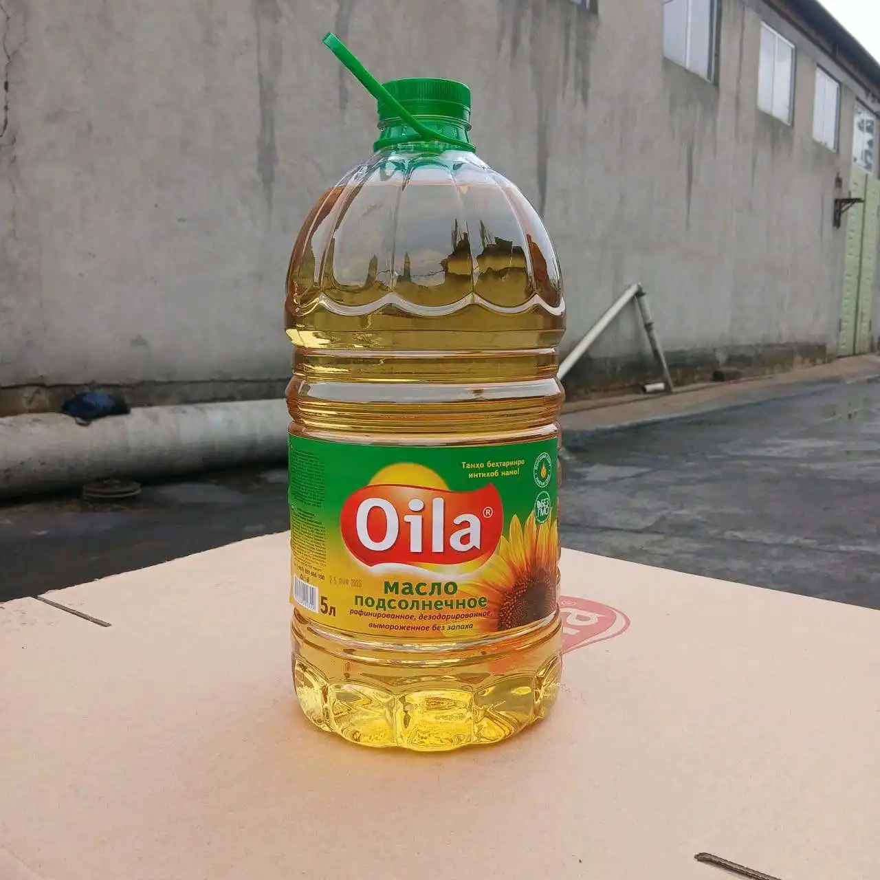 равғани растани