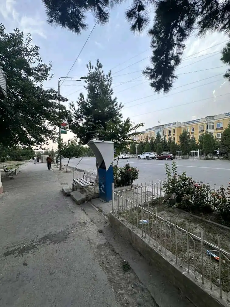 Магозаи хуроквори