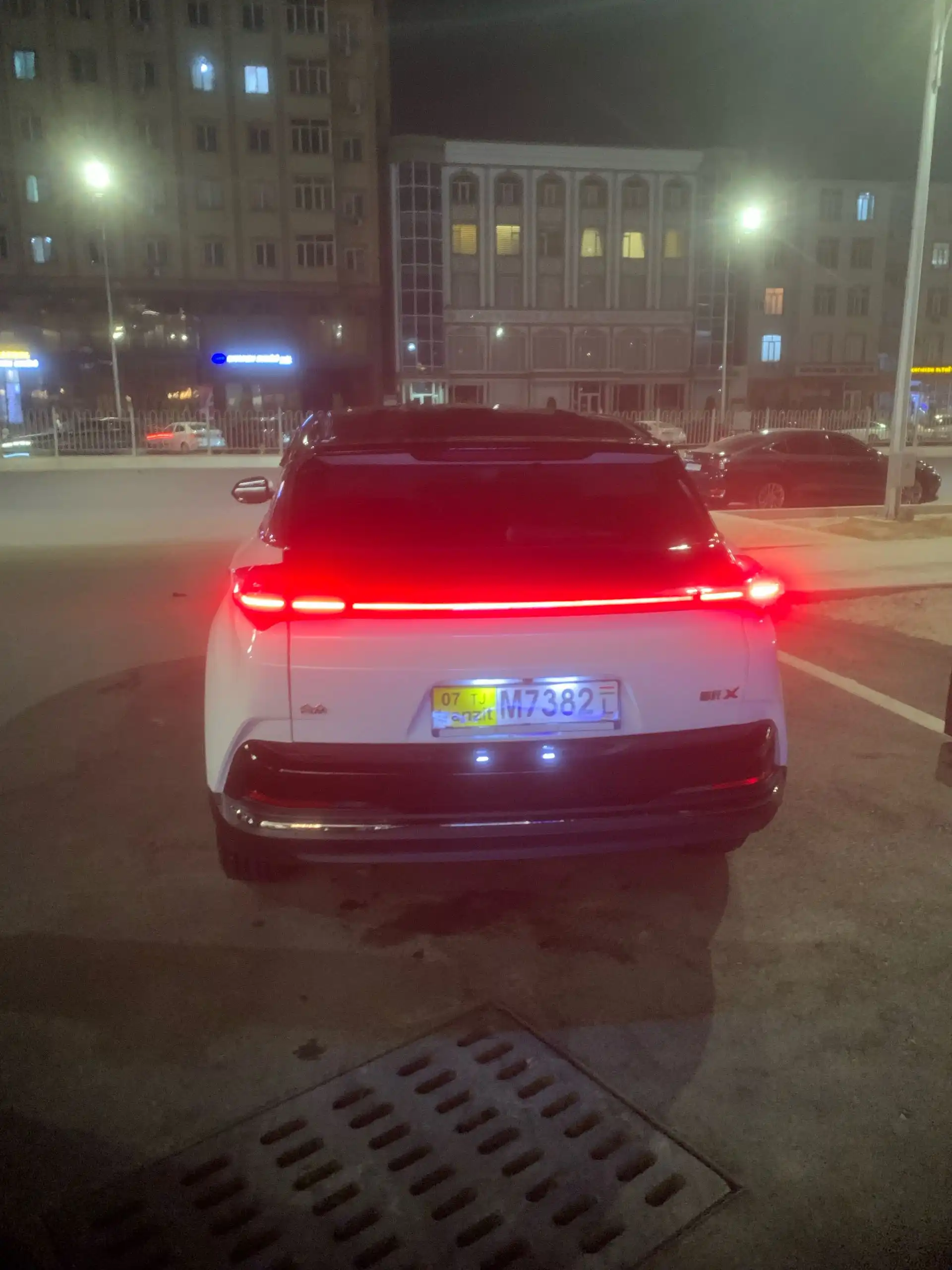 Neta S 2024
