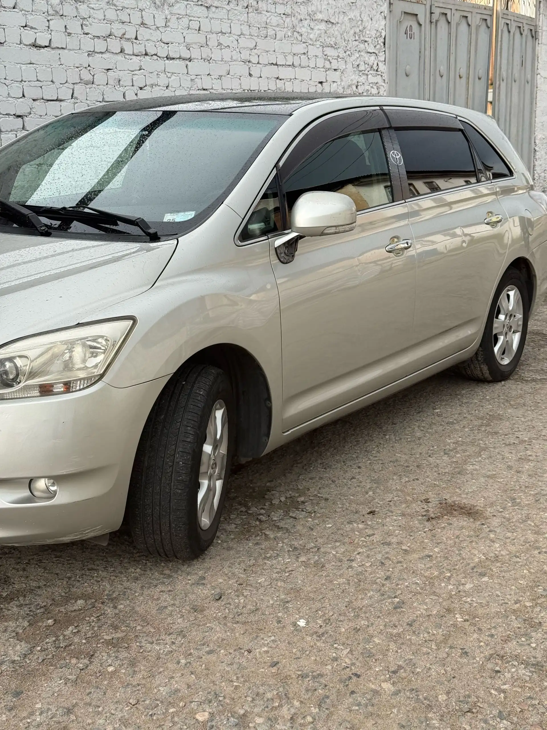 Toyota Mark X ZiO 2009