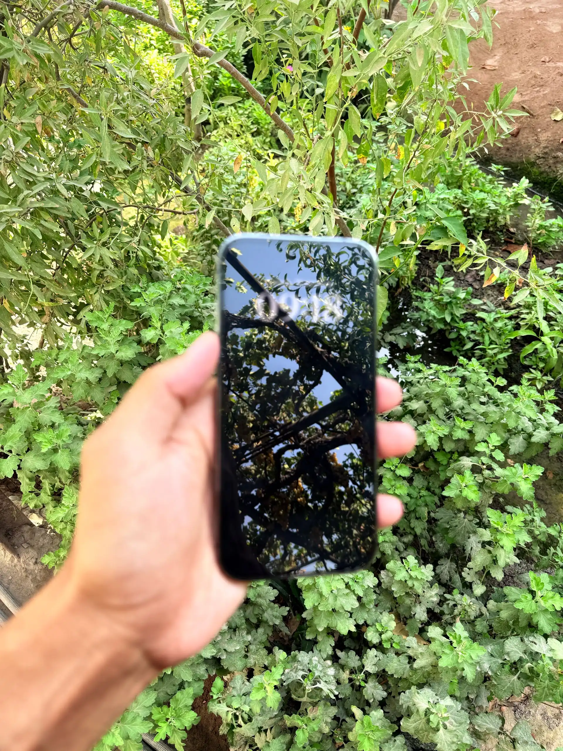 Apple IPhone 14 Pro 128 gb