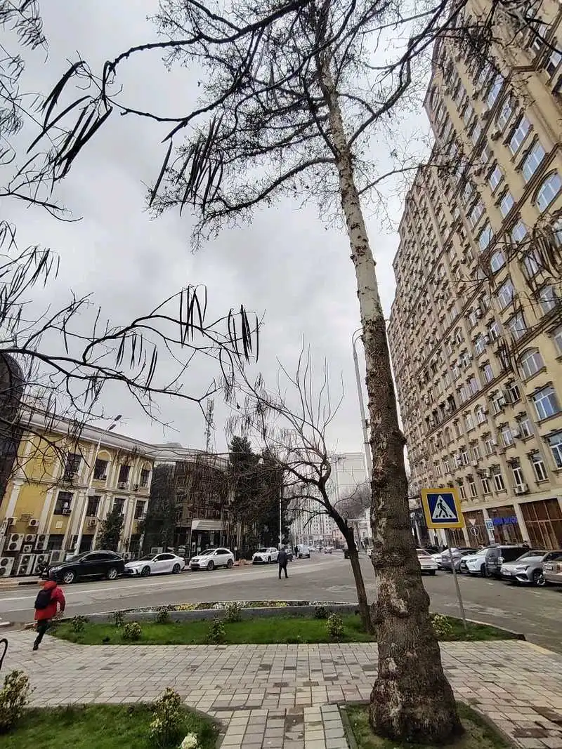 1-к квартира, 9 этаж, 75 м², Шоҳмансур, назди Пасолствои Турция