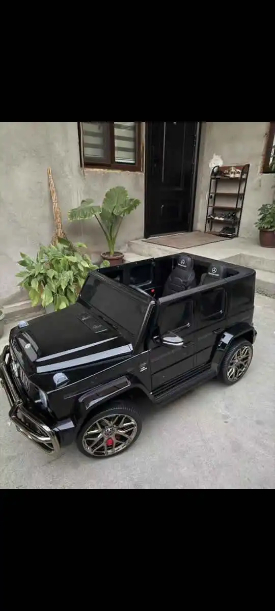 Мошинча