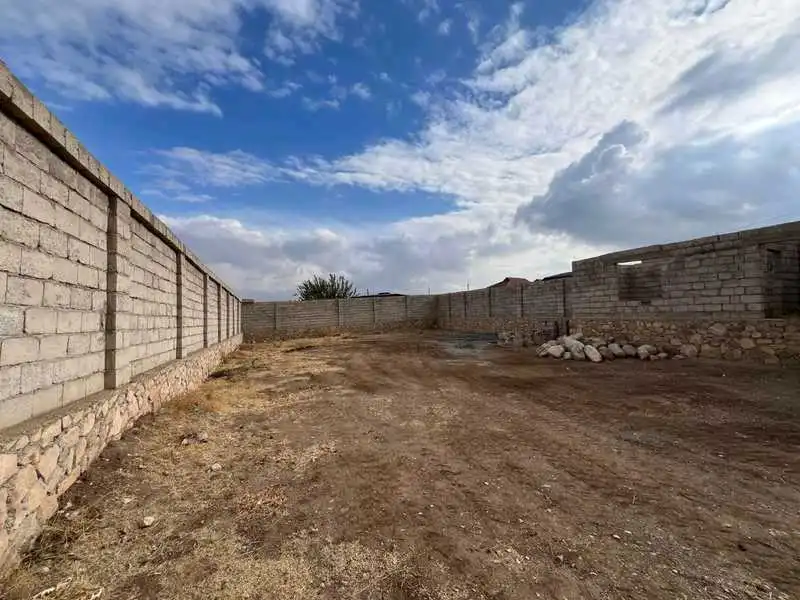Дангара