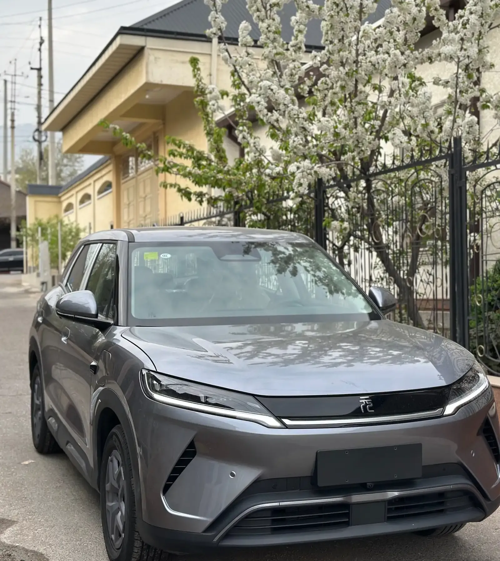 BYD Yuan Up, 2025