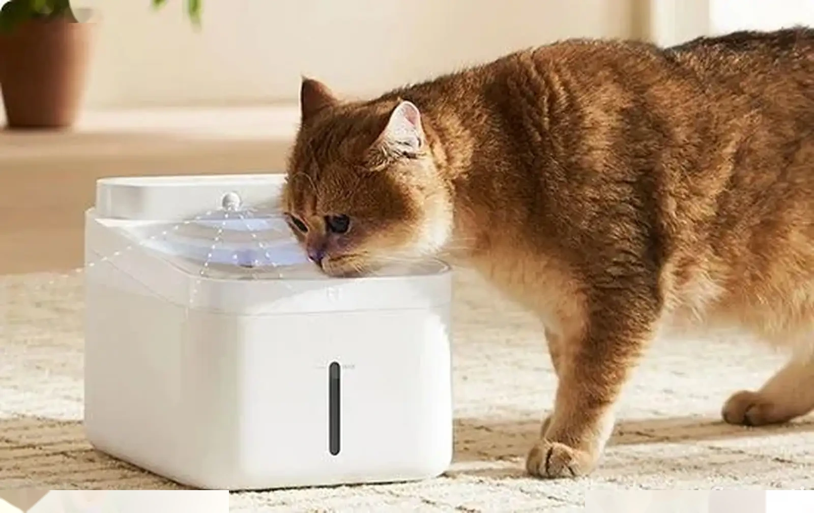 Умная поилка для животных от Xiaomi Pet Water Dispenser 2 — фото 3