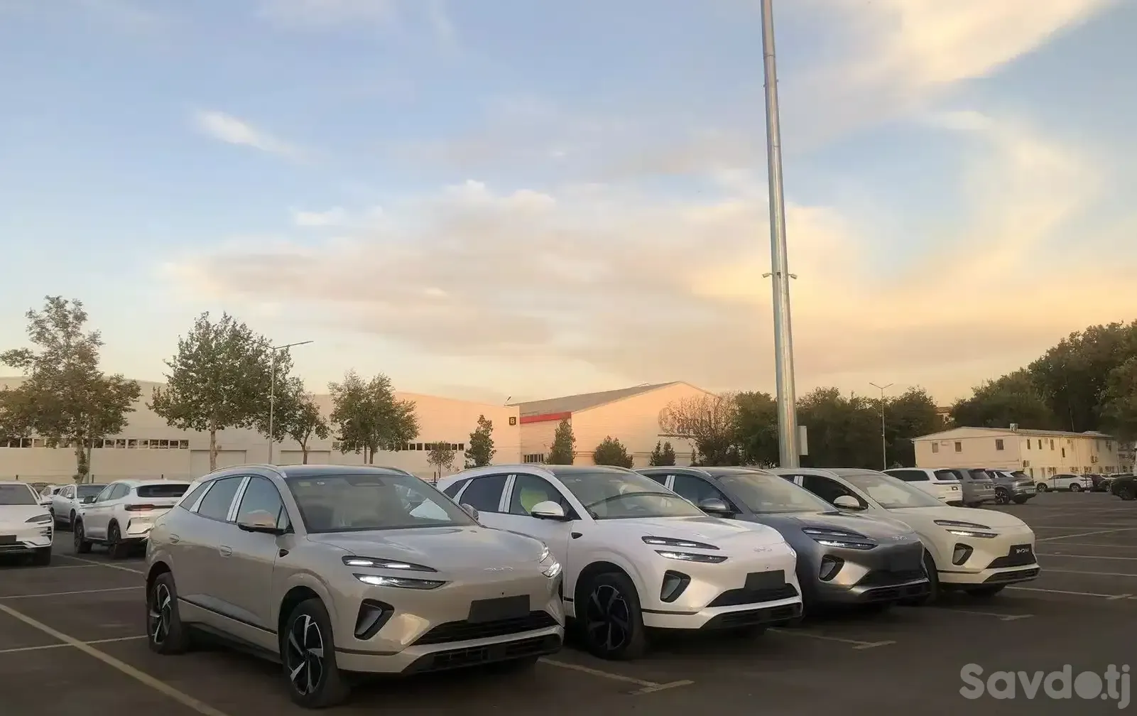 BYD Sea Lion 06, 2025