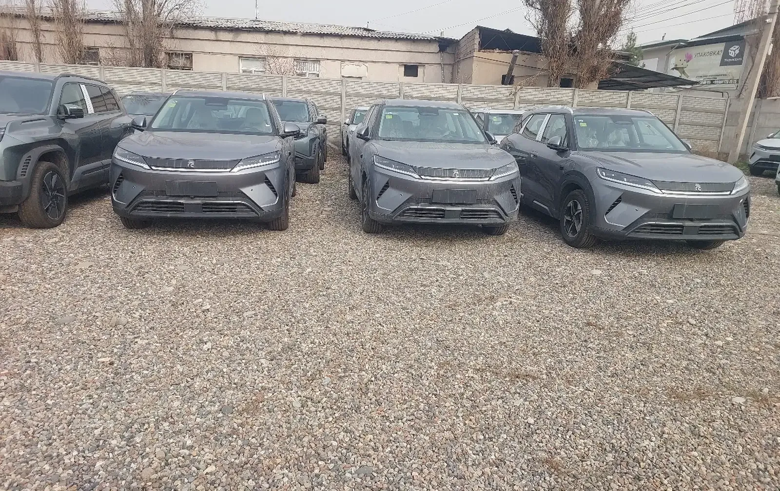 BYD Yuan Up, 2025