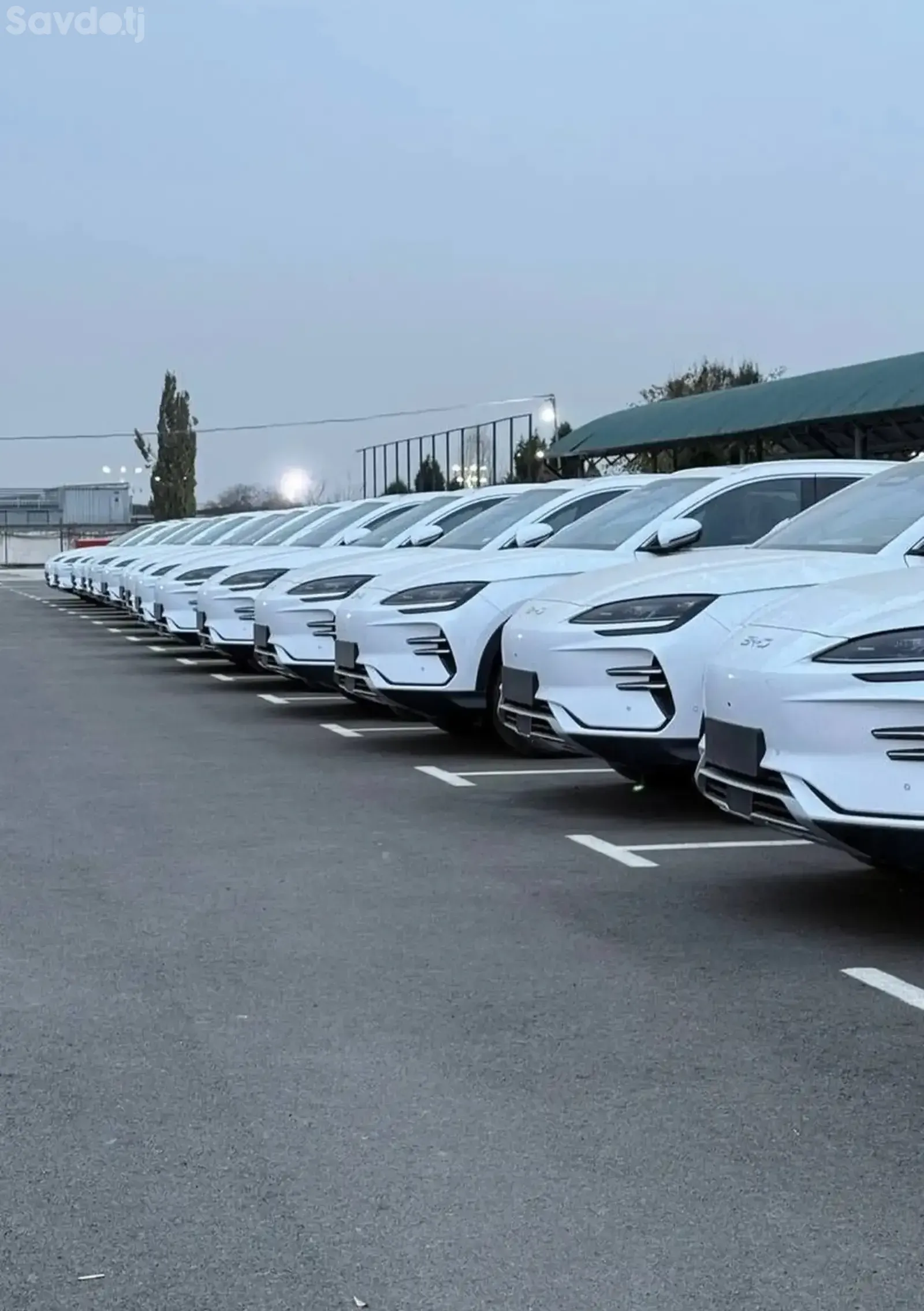 BYD Song Plus, 2025