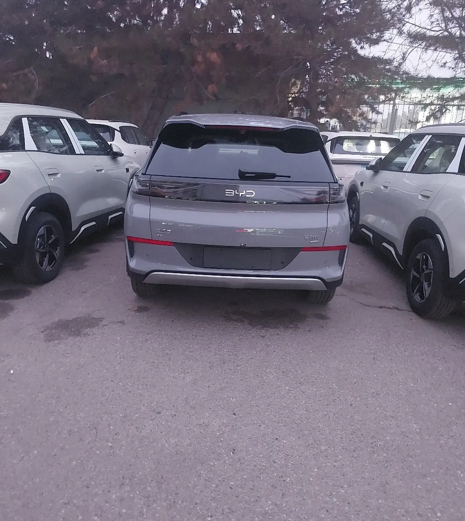 BYD Sea Lion 06, 2025