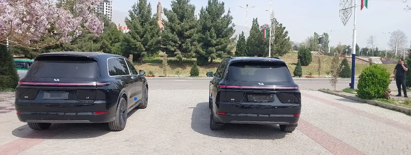 LiXiang L9, 2025