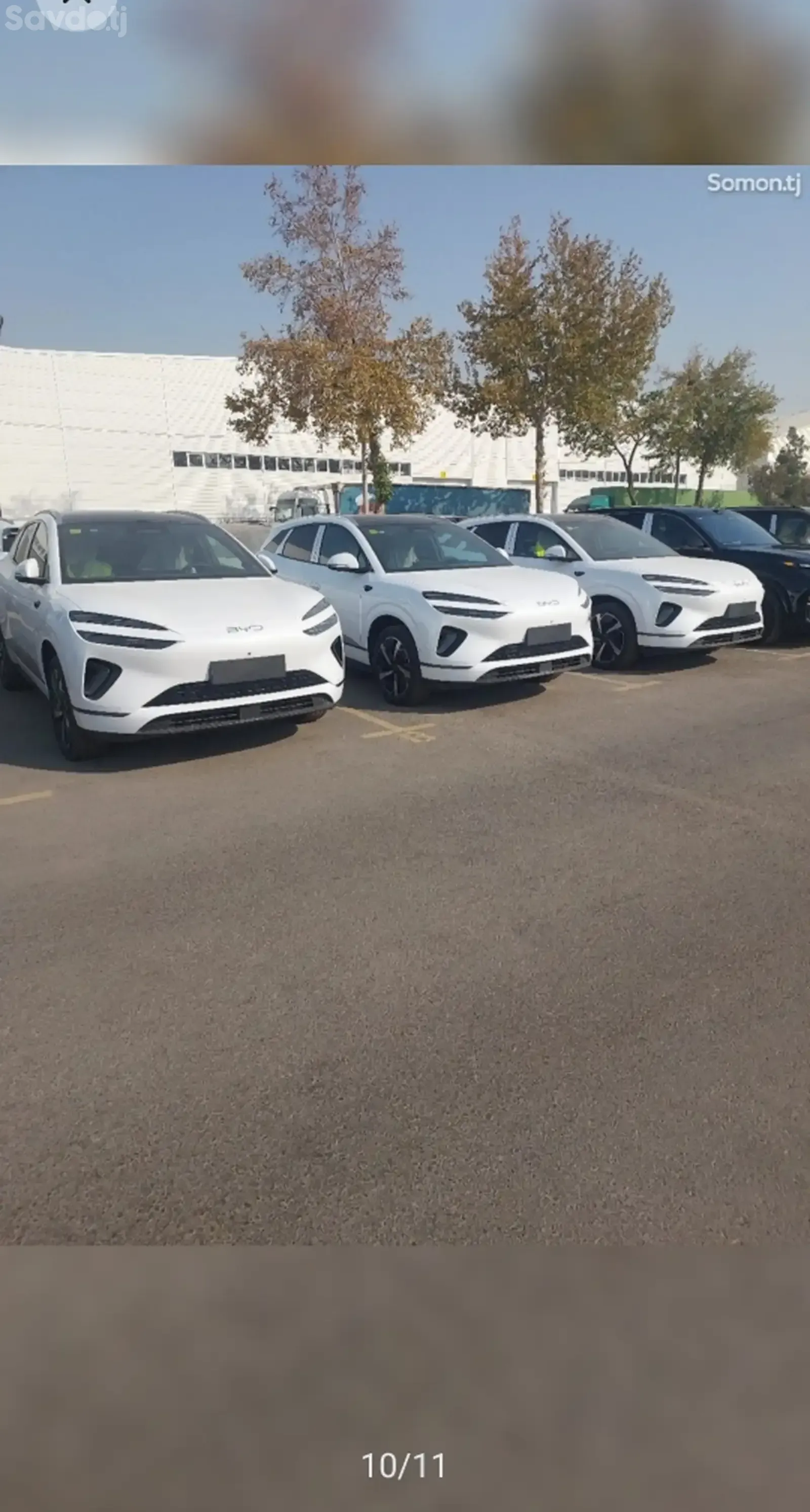 BYD Sea Lion 06, 2025