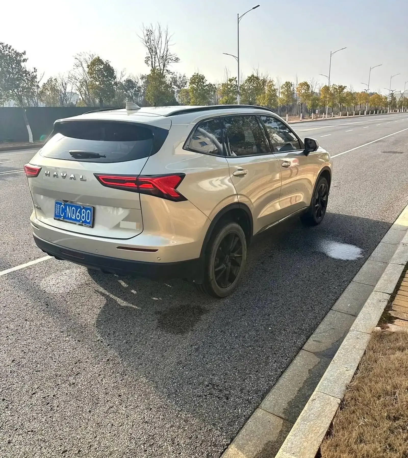Haval H6, 2024