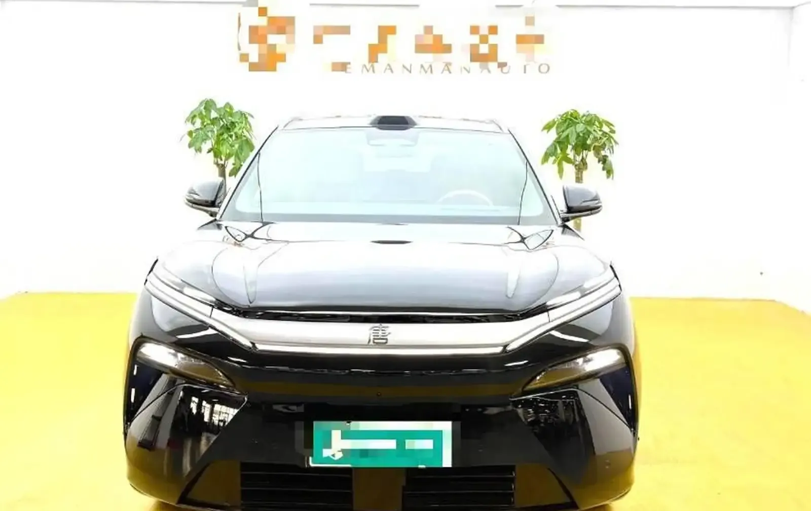 BYD Tang, 2025