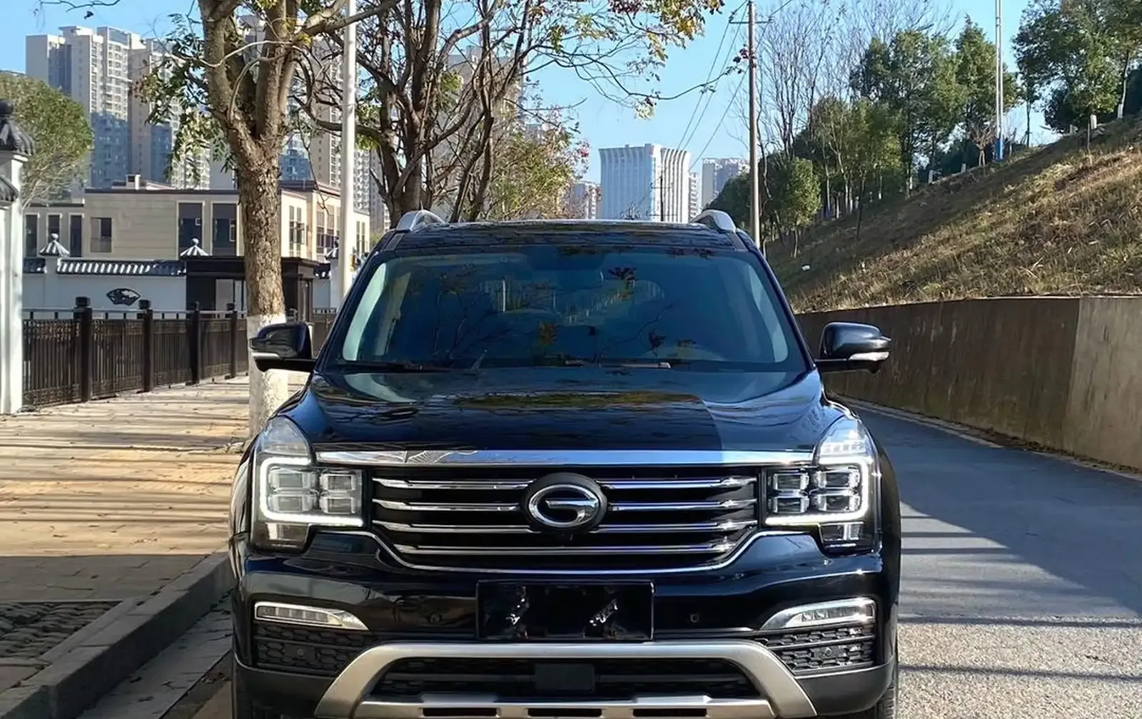 GAC Trumpchi GS8, 2018 на заказ