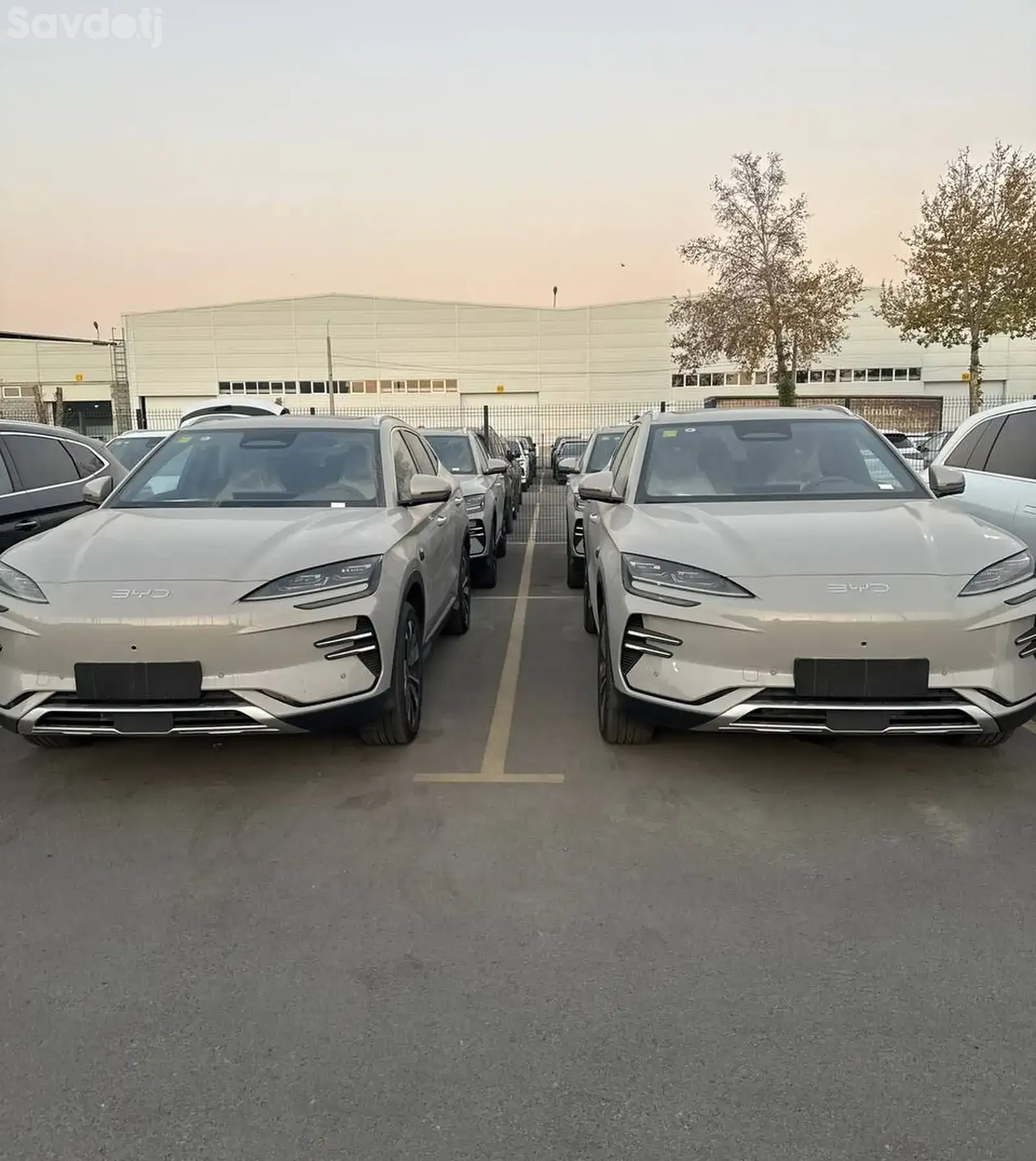 BYD Song Plus, 2025