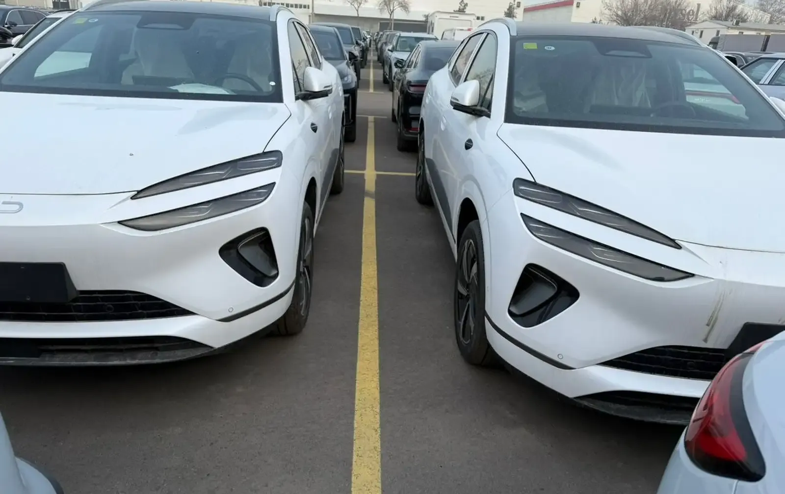 BYD Sea Lion 06, 2025