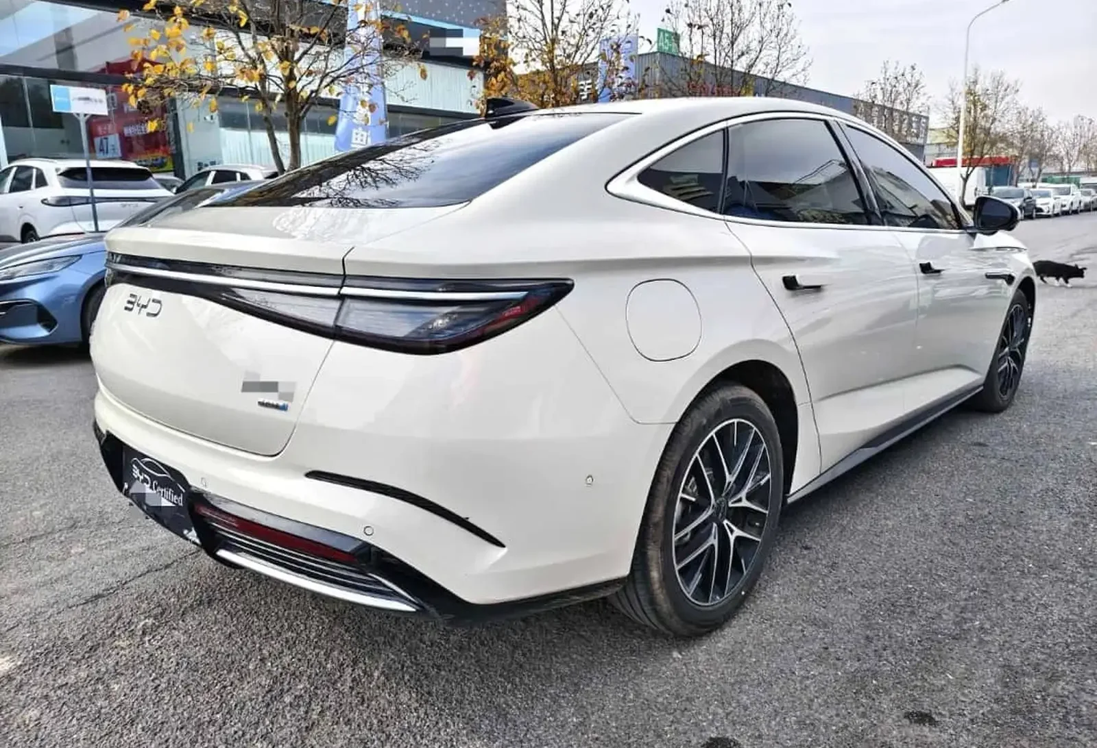 BYD Sea Lion 07, 2025 на заказ