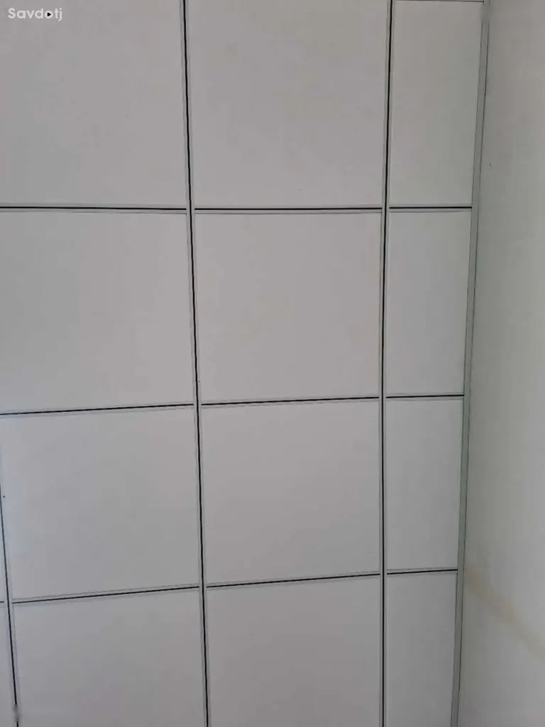 Амстронг иранский