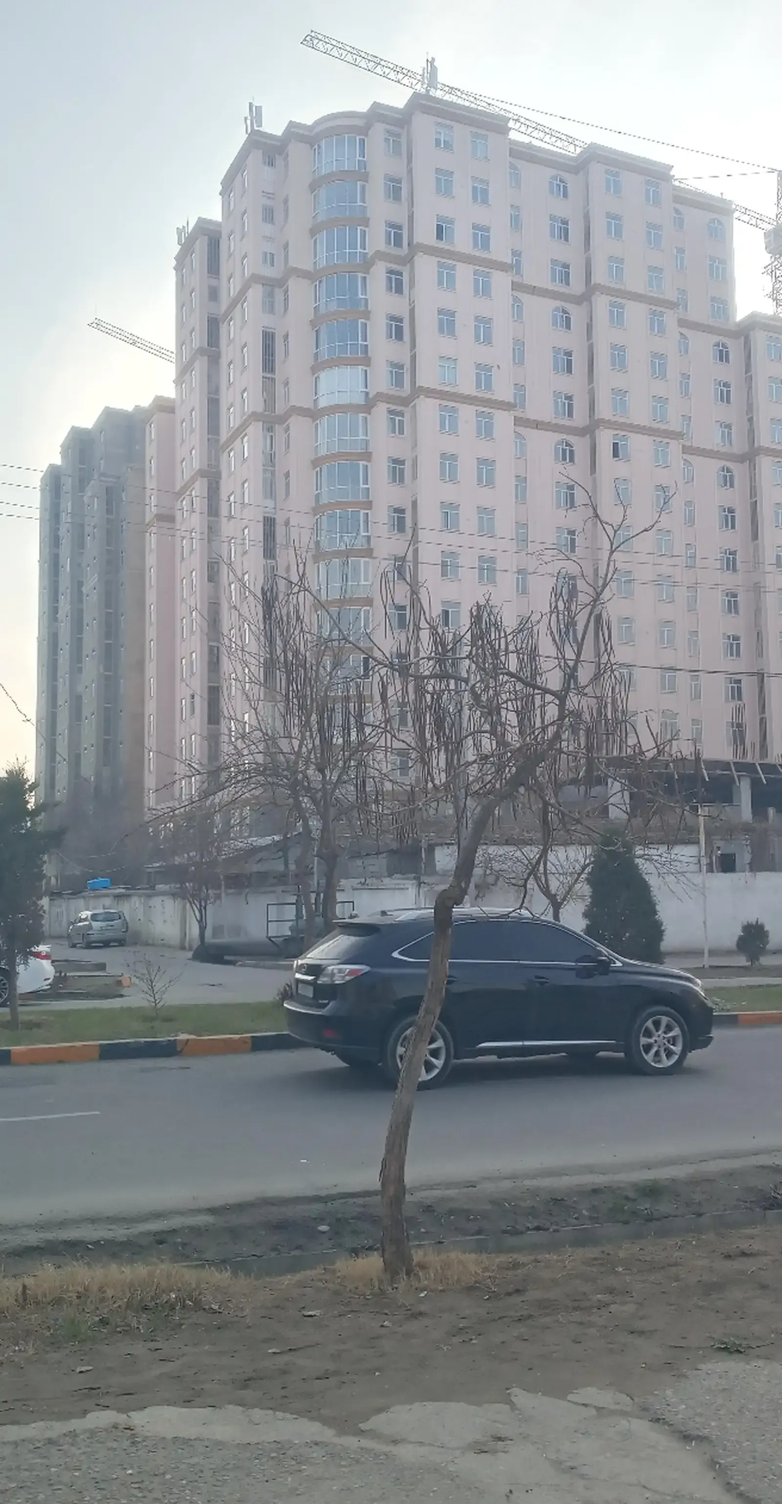 Помещение под магазин / салон, 98м², Донишгохи Тичорати Диагностика — фото 3