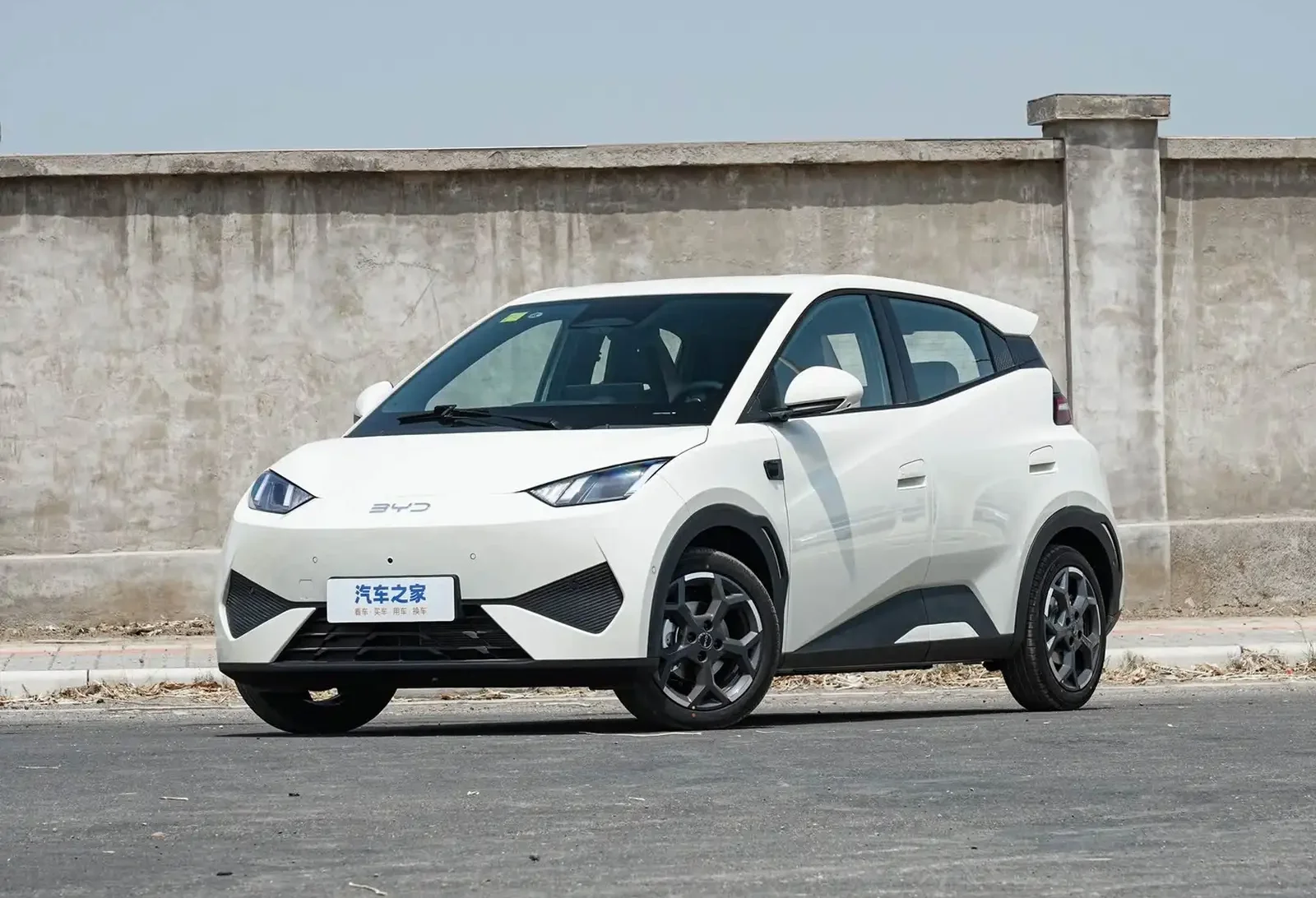BYD Seagull, 2025