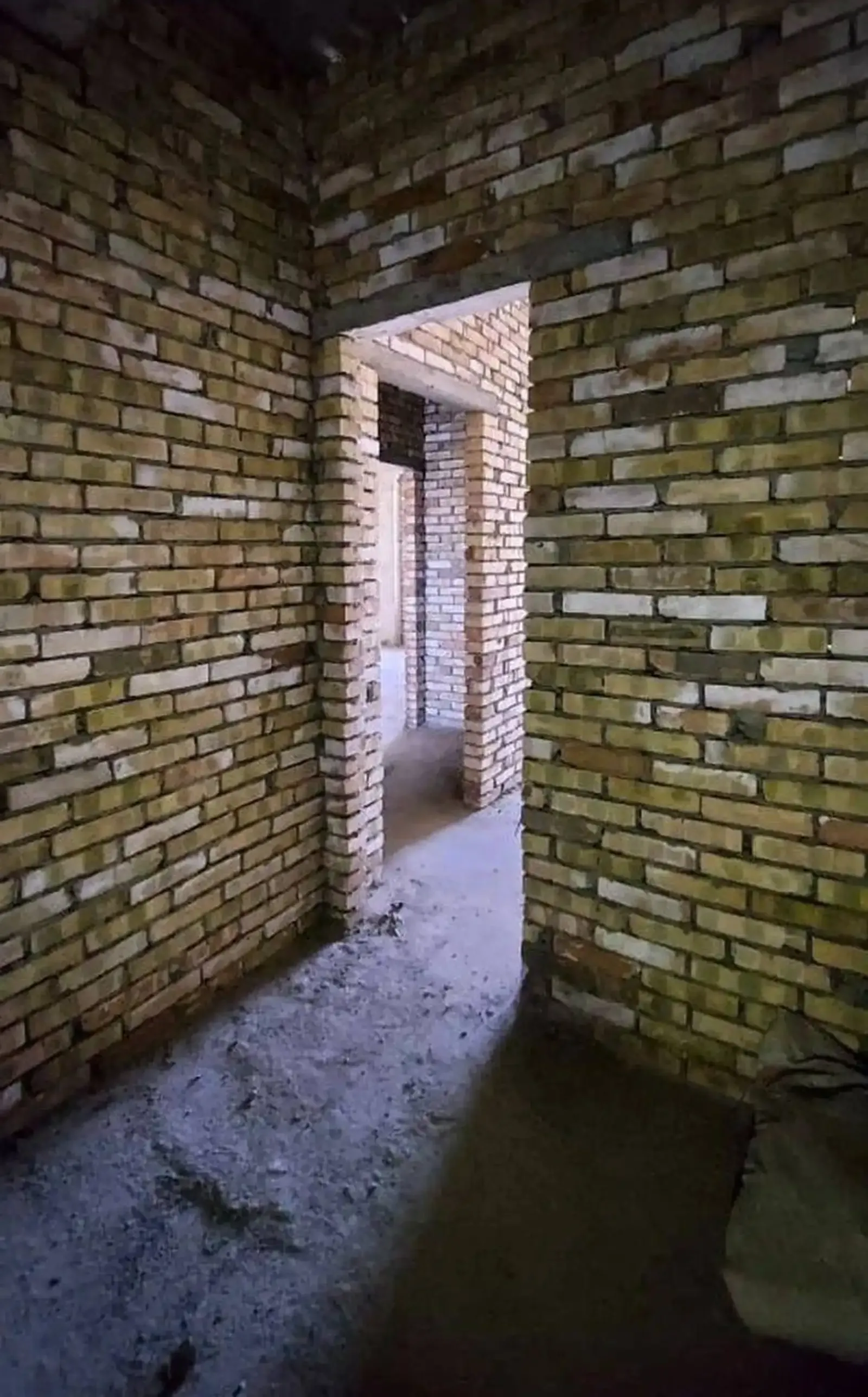 3-комн. квартира, 13 этаж, 118 м², Сино — фото 3