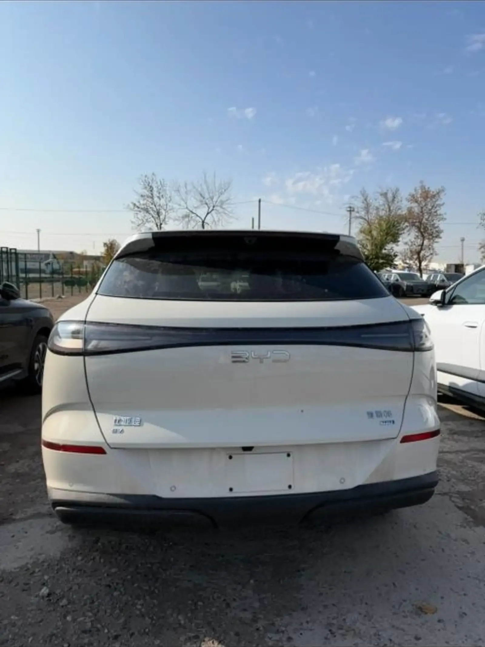 BYD Sea Lion 06, 2025