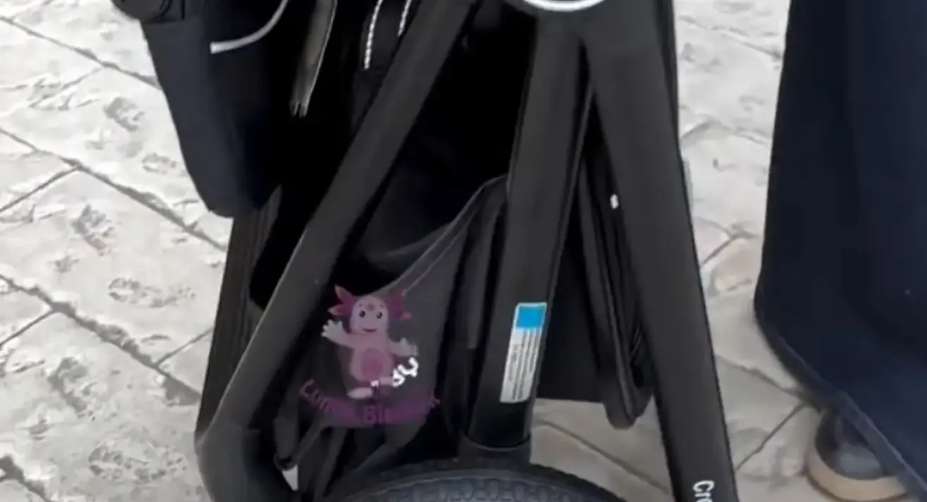 Коляска INING Baby Z1 Pro