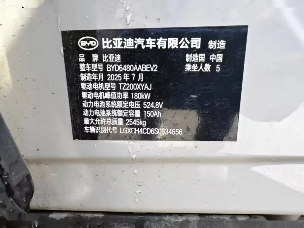 BYD Sea Lion 06, 2025