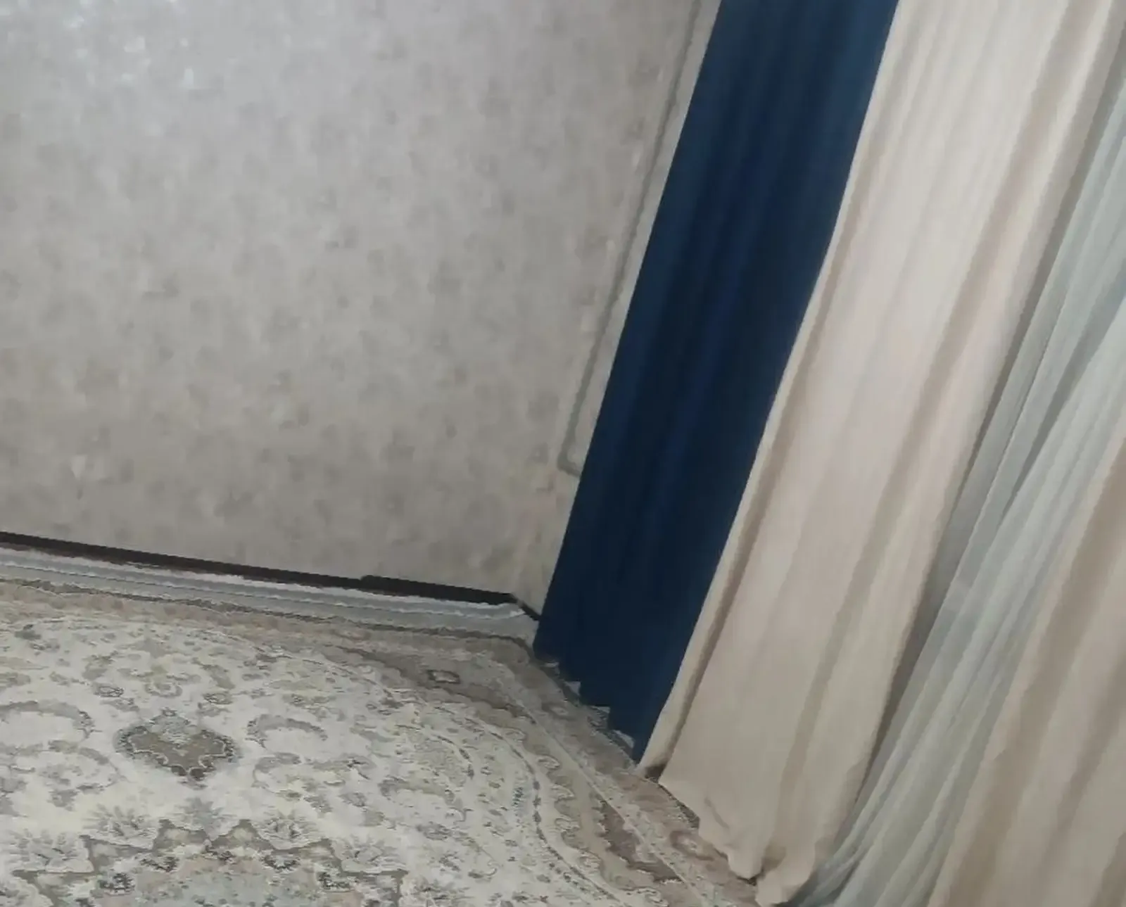 1-комн. квартира, 4 этаж, 30 м², Цирк — фото 4