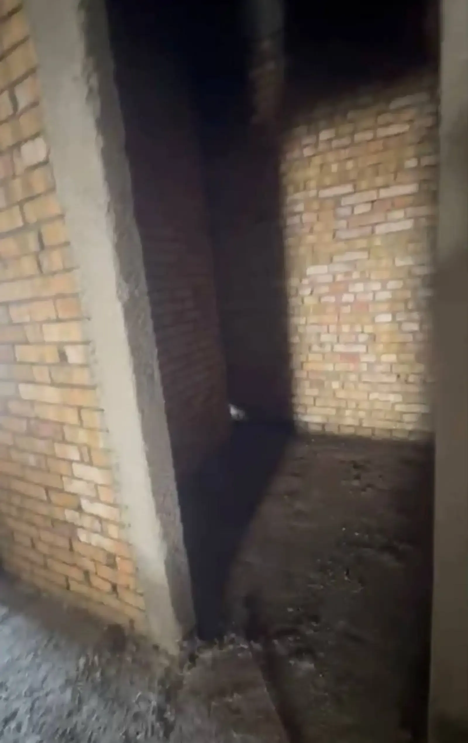 3-комн. квартира, 12 этаж, 150 м², Сомони — фото 7