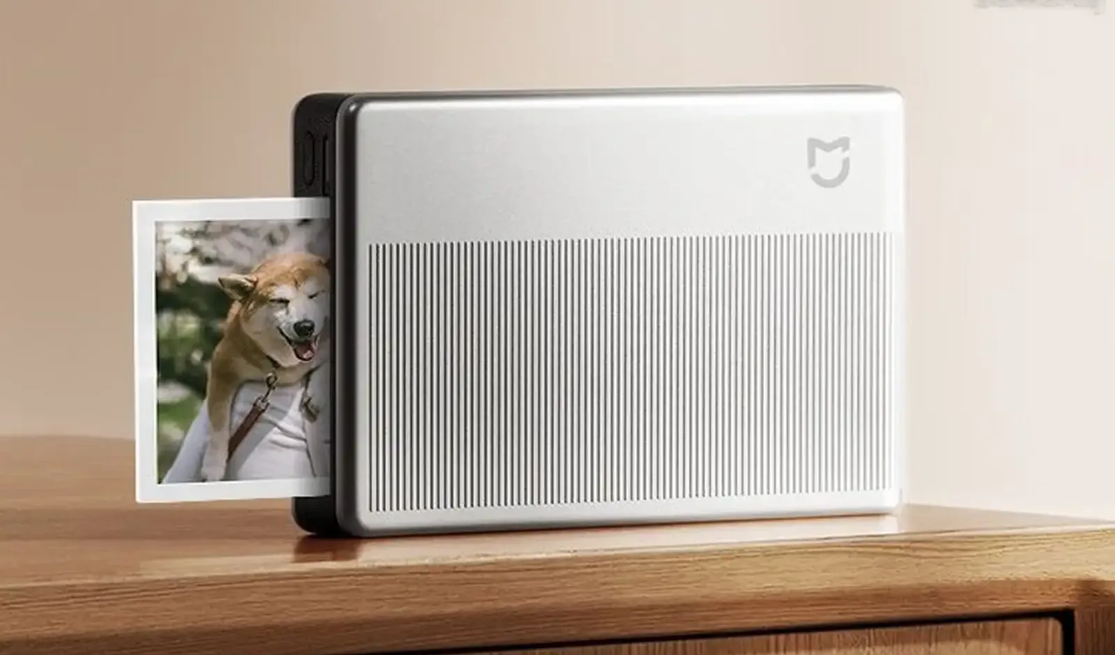 Портативный фотопринтер Xiaomi Portable Photo Printer 1S серебристый